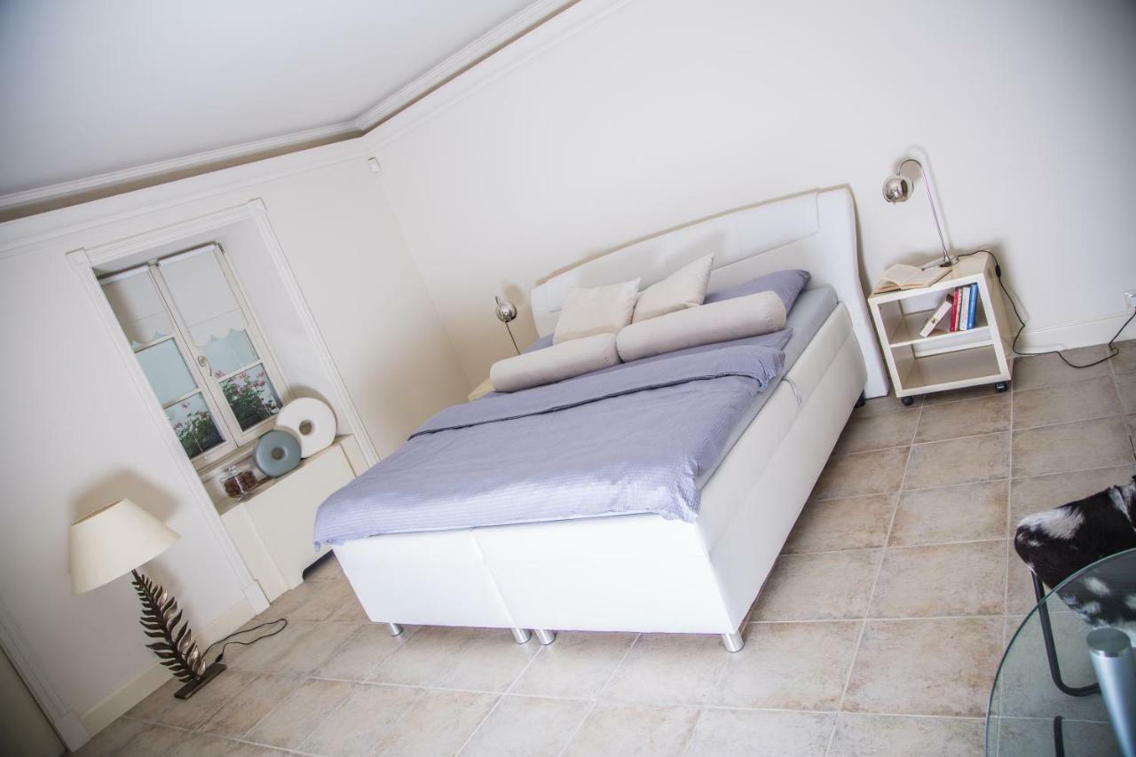 President Boutique Apartment II Brno Dış mekan fotoğraf