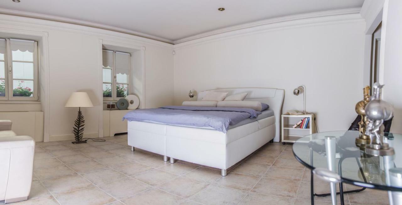 President Boutique Apartment II Brno Dış mekan fotoğraf